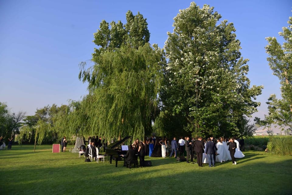 Les Vignobles Venue