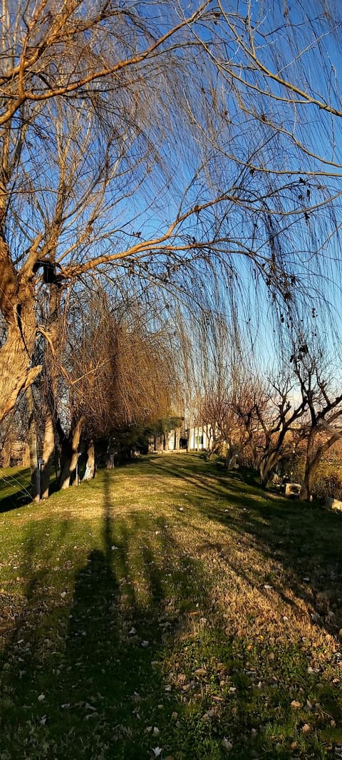 Les Vignobles Venue — photograph 4