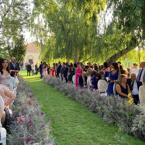 Les Vignobles Venue — photograph 6