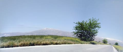 Elias Skaff Forum — photograph 3