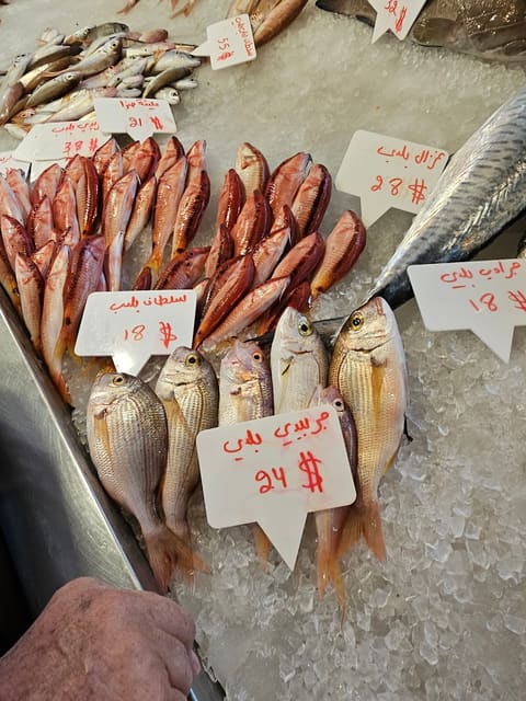 Samouka — photograph 4