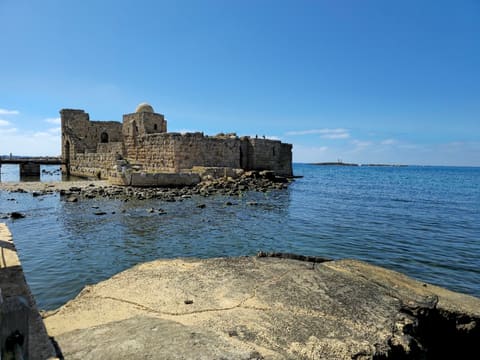 Saida Rest House Restaurant — photograph 3