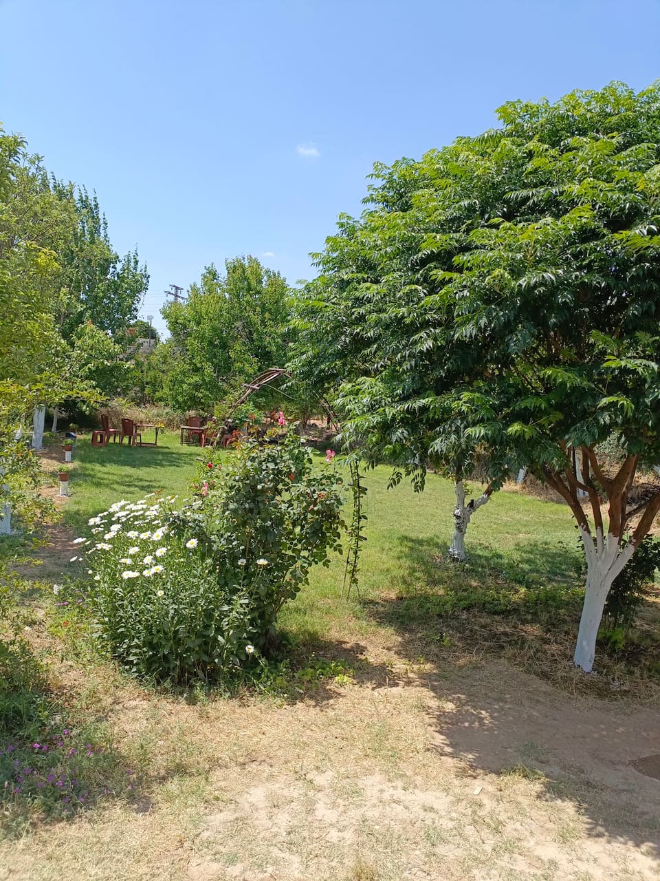 Hadiqat Sidon