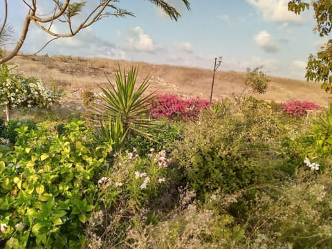 Eng. Mohammad Saoudi Park — photograph 2