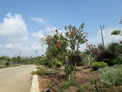 Eng. Mohammad Saoudi Park — photograph 4