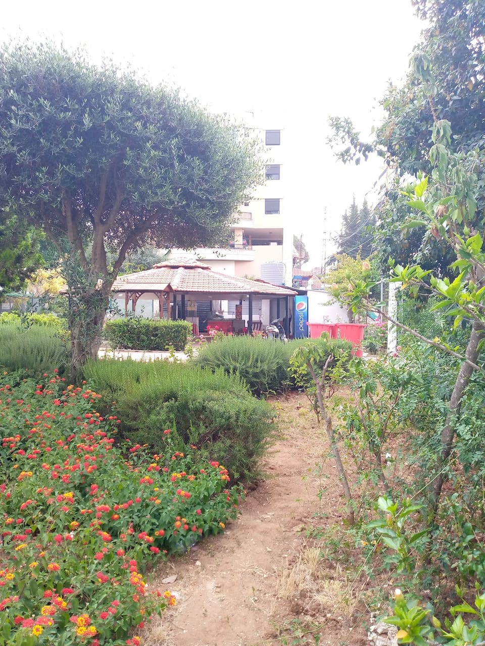 Abra garden