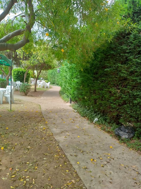 Abra garden — photograph 3