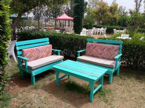 Abra garden — photograph 6