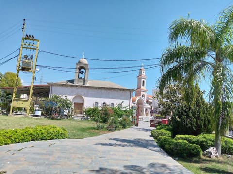 Abra park — photograph 4