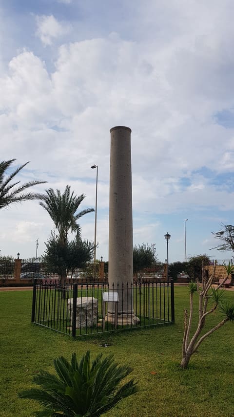 Hadiqat Al Marhoum Sheikh Zayed Bin Sultan Al Nahyan — photograph 6