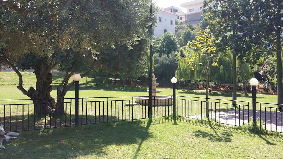 Hadiqat Baladiyet Al Salahiyeh
