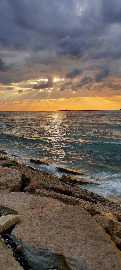 Jaziret Al Zeire — photograph 4