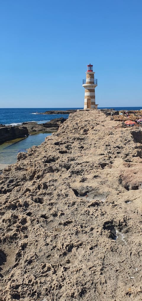 Jaziret Al Zeire — photograph 5