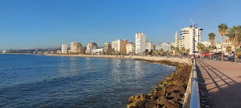 Saida New Cournish — photograph 2