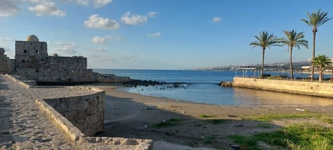 Saida New Cournish — photograph 6