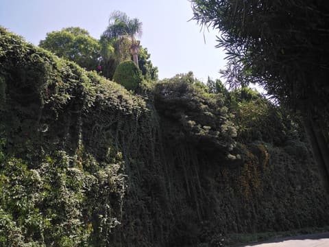 Street Park — photograph 2