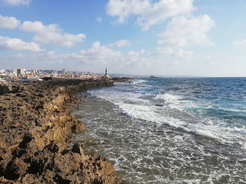 Manaret Jaziret Saida Al Tarikhiya — photograph 6