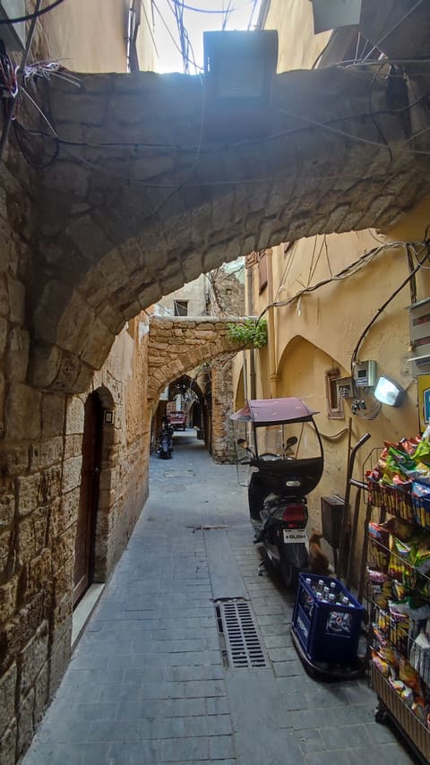 Saida land castle — photograph 2