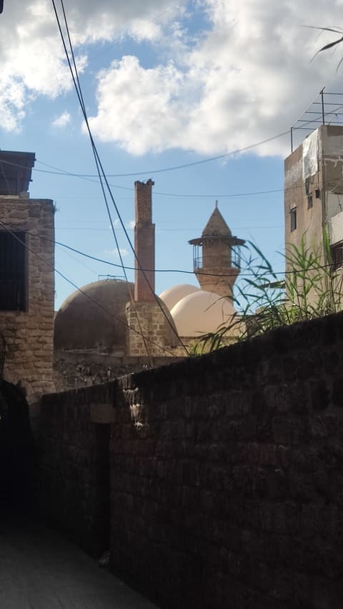 Saida land castle — photograph 5