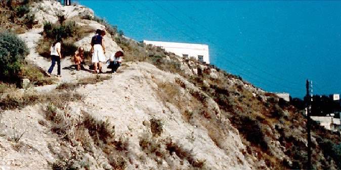 Murex hill