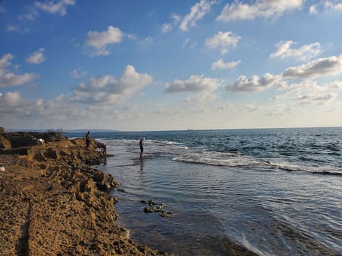 Zireh Beach — photograph 5