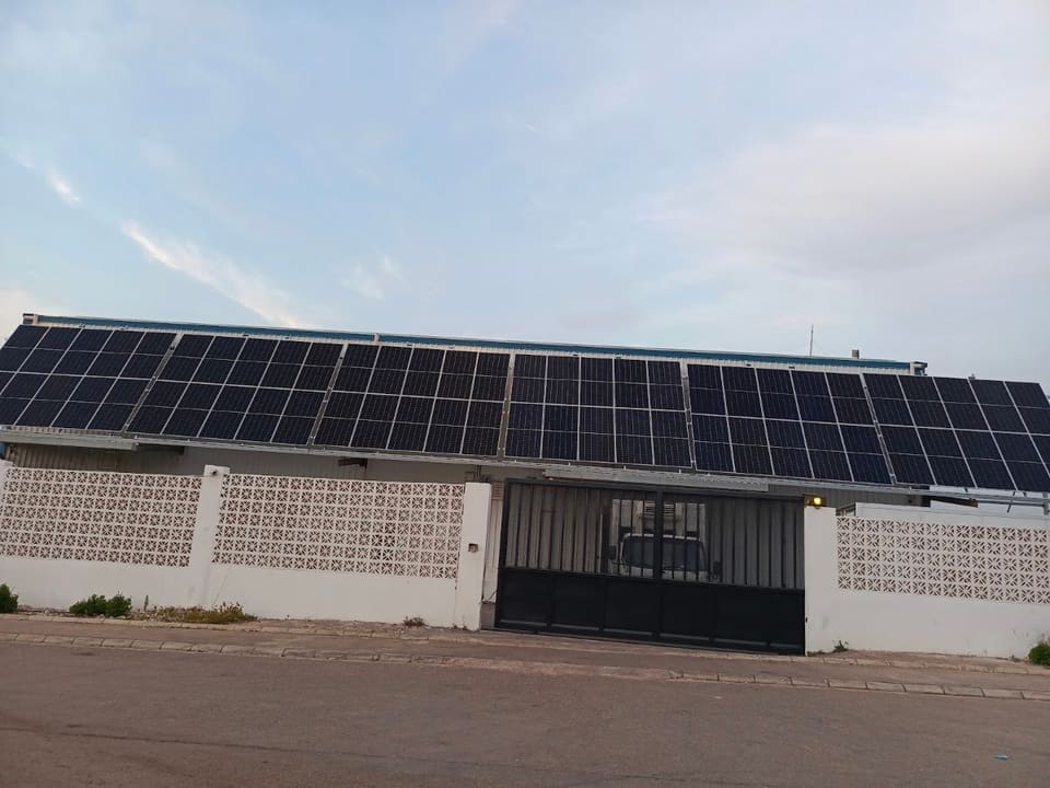 Saida Hatchery