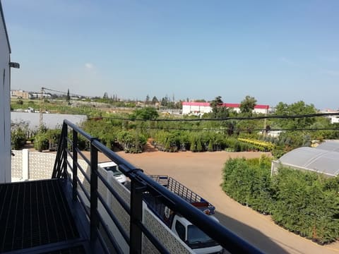 Saida Hatchery — photograph 2