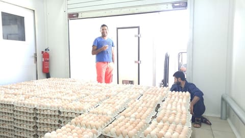 Saida Hatchery — photograph 4