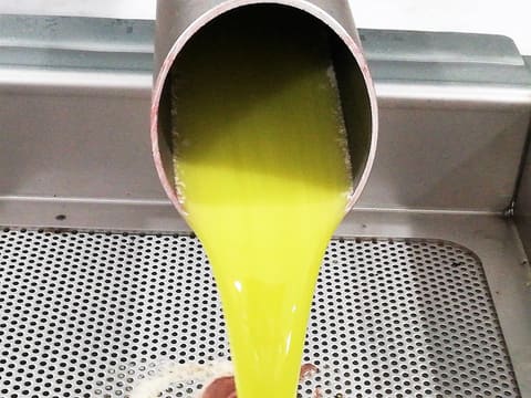 Bustan El Zeitoun EVOO OIl — photograph 6