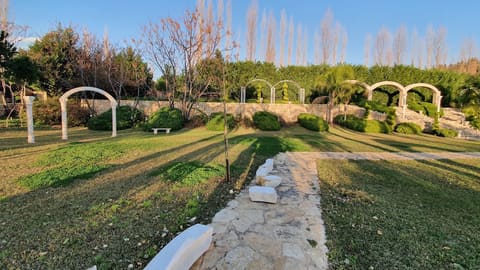 Le Palmier Venue — photograph 2