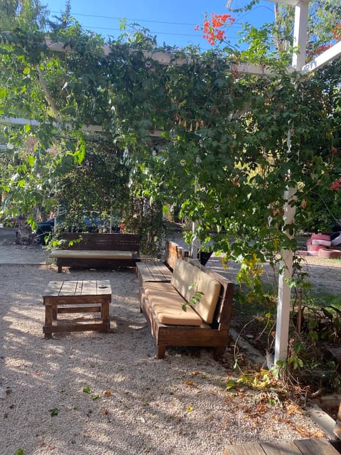 Sikka Saida — photograph 5