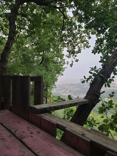 Mataam Al Sandayaneh — photograph 3