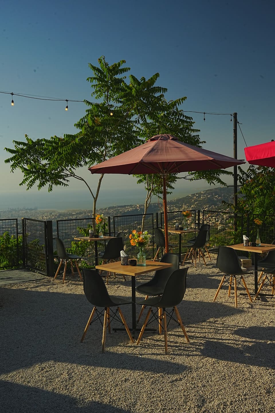 Kine Coffee Shop and Bar