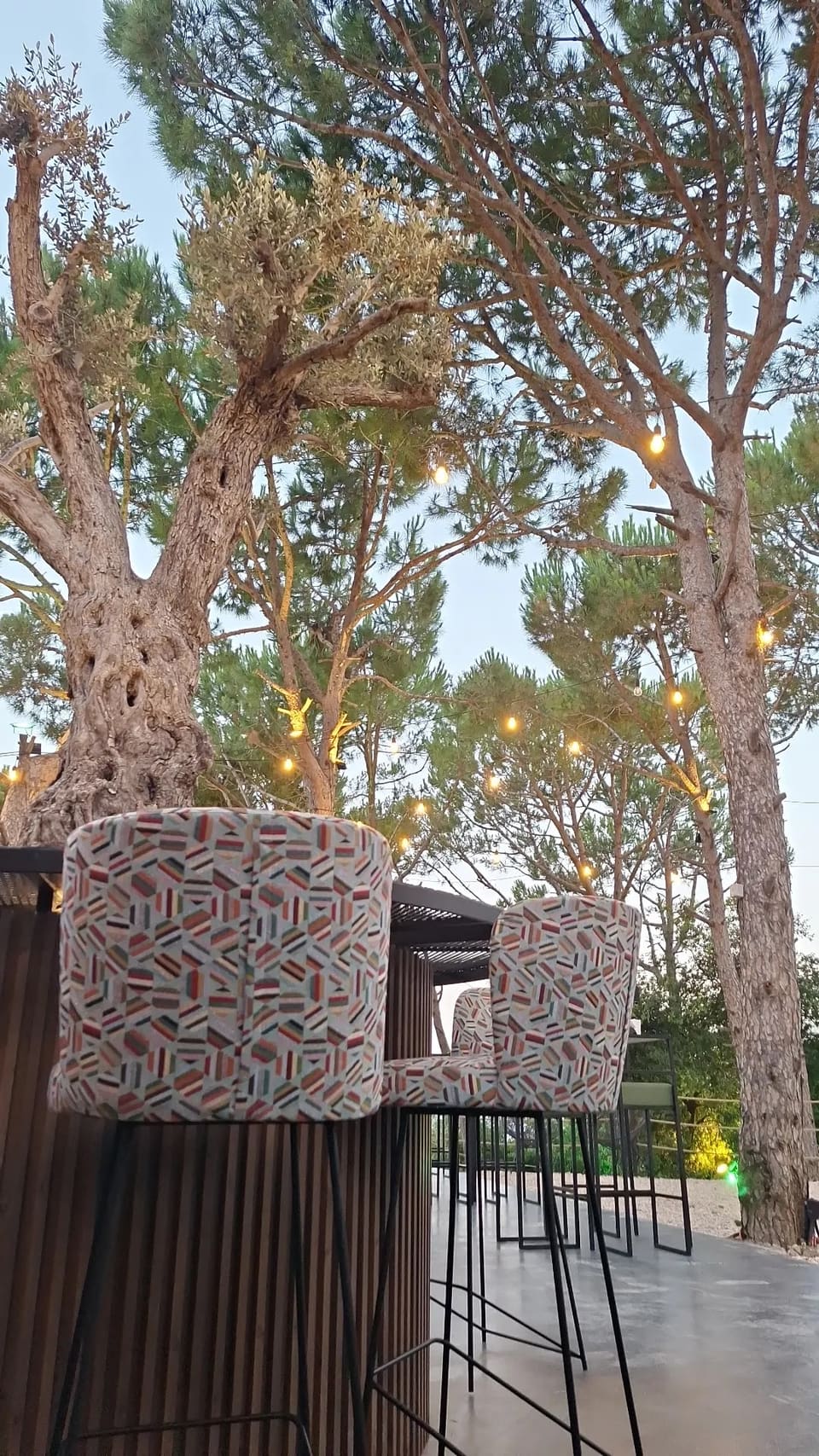 SLY Lounge & Venue
