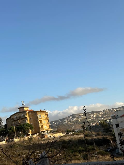 Aley — photograph 4
