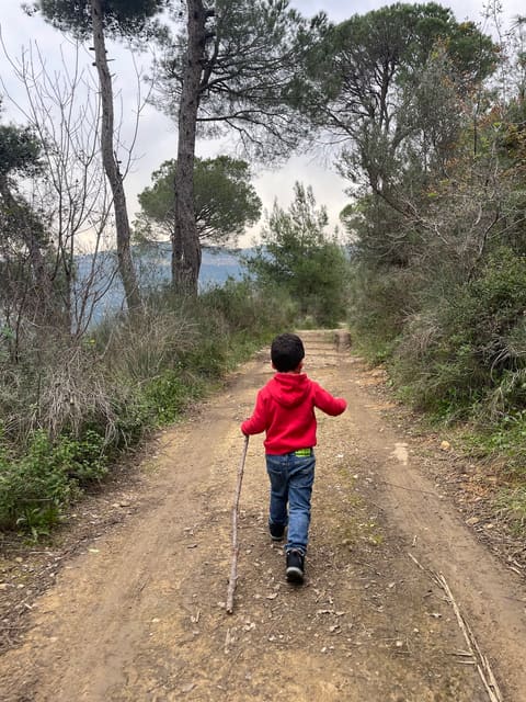 Araya Pine Park — photograph 6