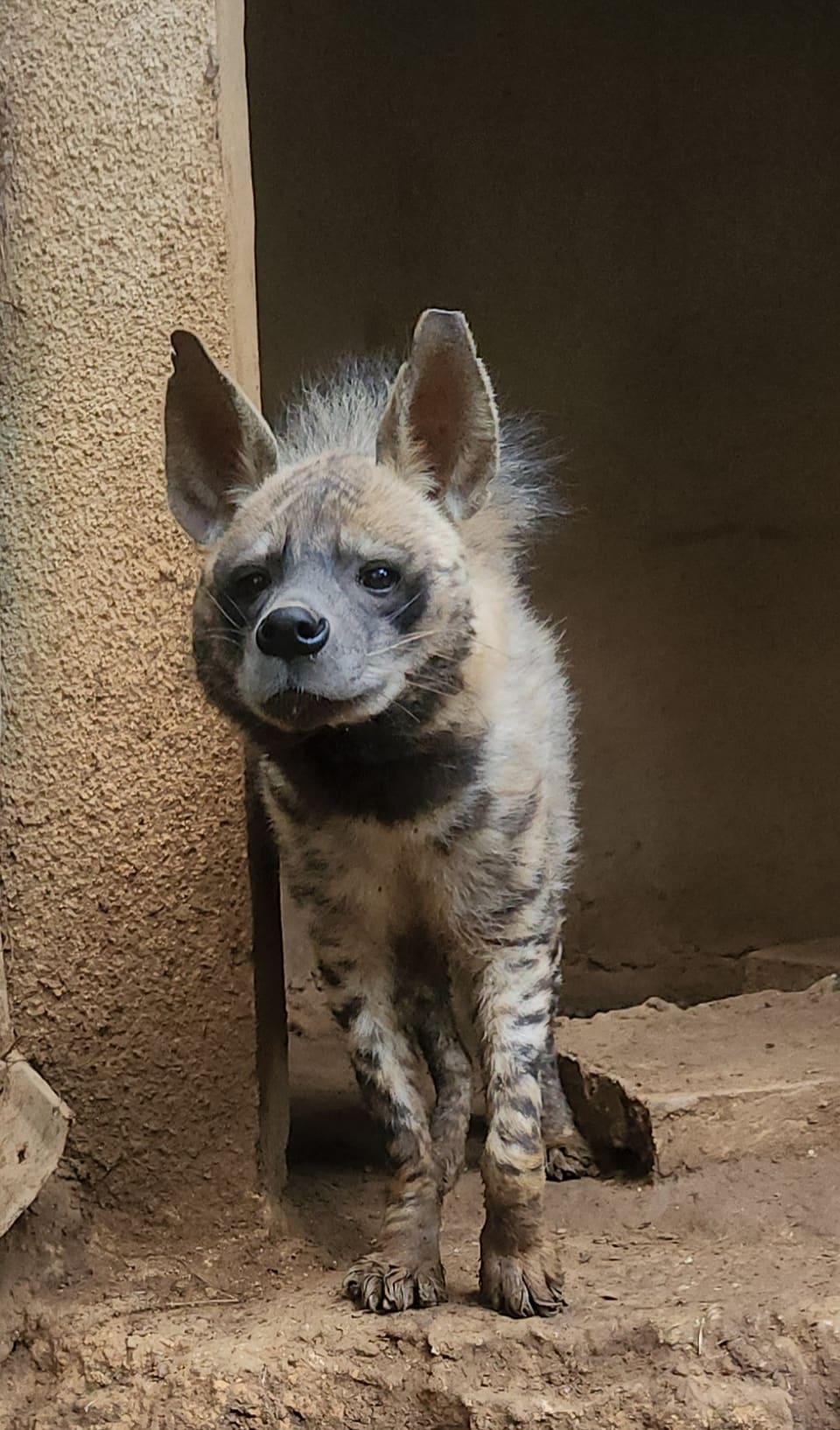 Animal Encounter - Wildlife conservation center