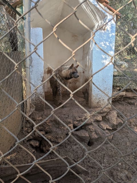 Animal Encounter - Wildlife conservation center — photograph 2
