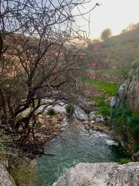 Eyes of Nature — photograph 5