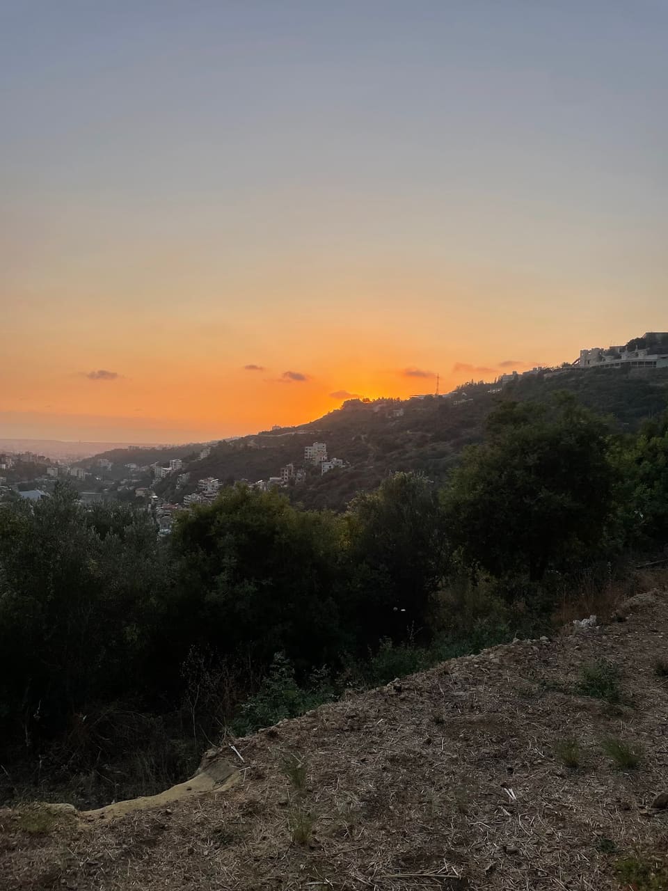 TheCampYardlb
