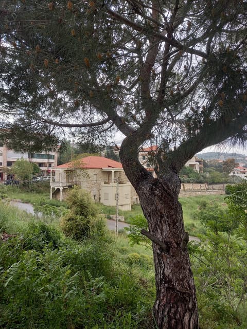 Mafraq Ras El Jabal — photograph 5