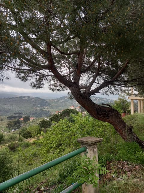 Mafraq Ras El Jabal — photograph 6