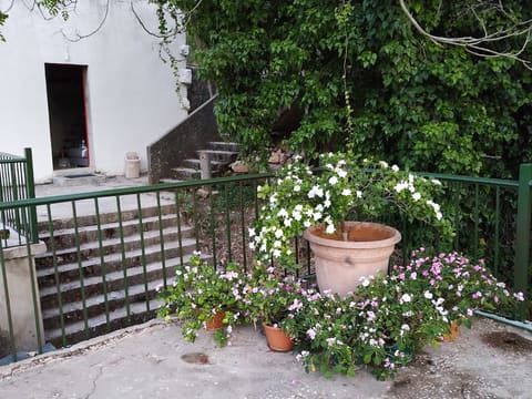 Fouad's guest house — photograph 5