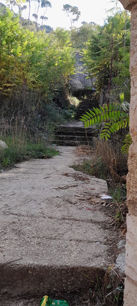 Naba Ma Makkin — photograph 3