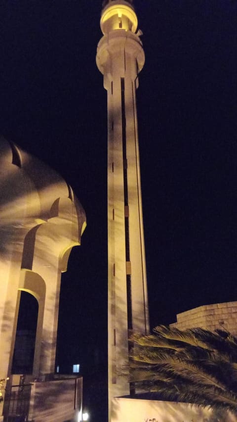 Al Rifaii Mosque — photograph 6