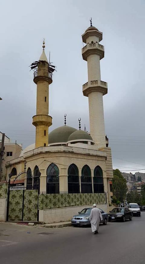 Osama Bin Zayd Mosque — photograph 3