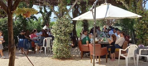 God Save the Green — photograph 6