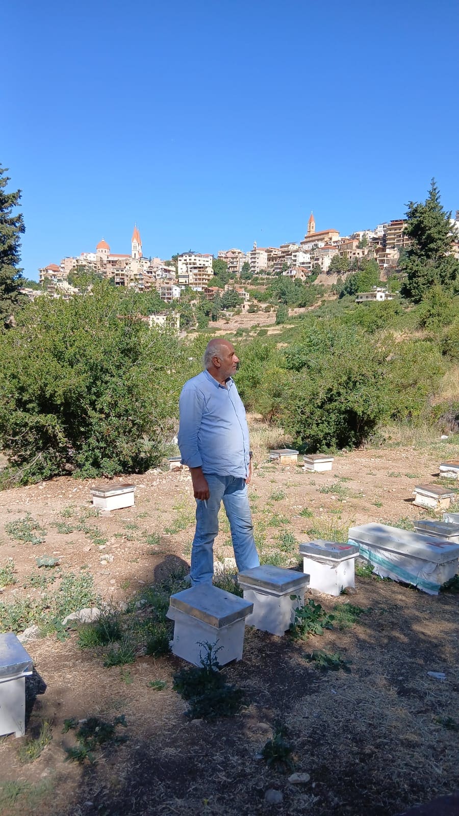 AL Kadi For beeKeeping and honey production