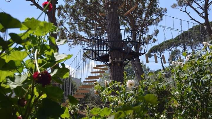 Lamartine park