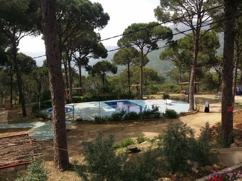 Lamartine park — photograph 2